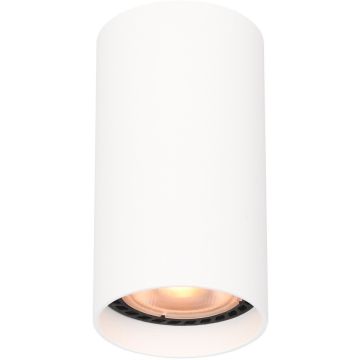 Italux Lopus CLN-48930-S-WH downlight natynkowy 1x10W/GU10   IP20