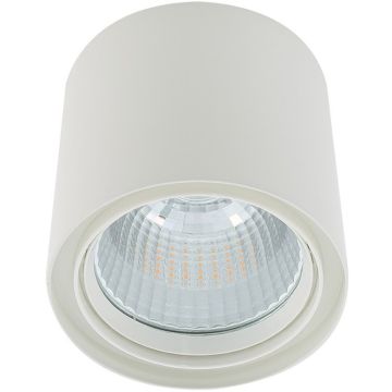Italux Luna White 3800LM  WG-706R/WU-WW/70 downlight natynkowy 1x40W/LED 3800lm 3000K IP20