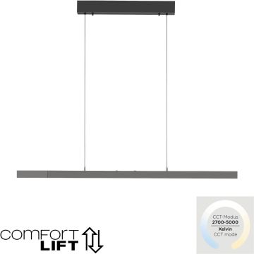 Paul Neuhaus ADRIANA COMFORT LIFT 2598-13 lampa wisząca 1x13W/LED 2085lm 2700-5000k ip20