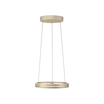 Paul Neuhaus PURE E-LOOP 2550-60 lampa wisząca 2x20W/LED 2700K-5000K IP20 1800lm