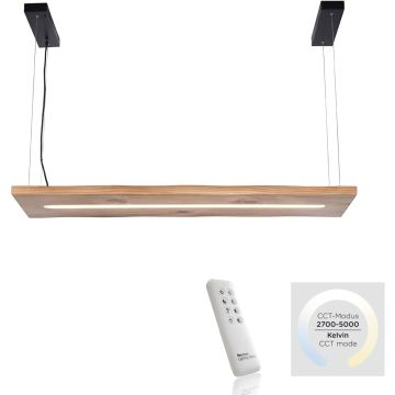Paul Neuhaus PALMA 2625-79 lampa wisząca 1x27W/LED 2750lm 2700-5000k ip20