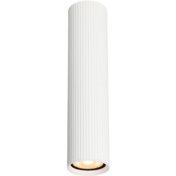 Italux Rilok CLN-83920-L-WH downlight natynkowy 1x10W/GU10   IP20