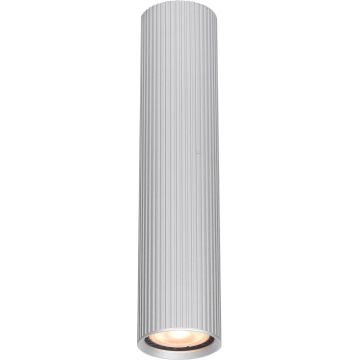 Italux Rilok CLN-83920-L-ALU downlight natynkowy 1x10W/GU10   IP20