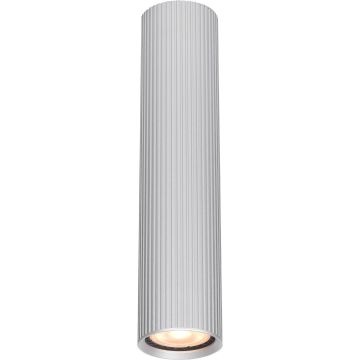 Italux Rilok CLN-83920-M-ALU downlight natynkowy 1x10W/GU10   IP20