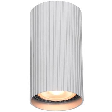 Italux Rilok CLN-83920-S-ALU downlight natynkowy 1x10W/GU10   IP20