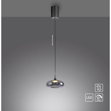 Paul Neuhaus POSH 15692-15 lampa wisząca 1x7,4W/LED 300lm 3000k ip20