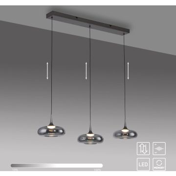 Paul Neuhaus POSH 15693-15 lampa wisząca 3x6,3W/LED 1000lm 3000k ip20