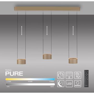 Paul Neuhaus PURE CLIPSE 2473-97 lampa wisząca 6x5W/LED 670lm 2200-5000k ip20