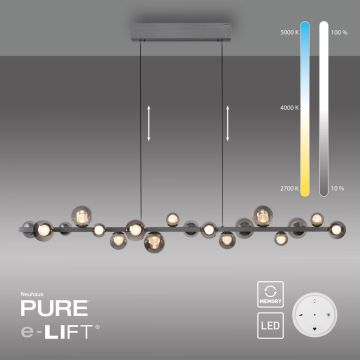 Paul Neuhaus PURE E-POPUP 2558-15 lampa wisząca 18x1,8W/LED 1070lm 2200-5000k ip20