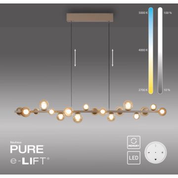 Paul Neuhaus PURE E-POPUP 2558-97 lampa wisząca 18x1,8W/LED 2230lm 2200-5000k ip20