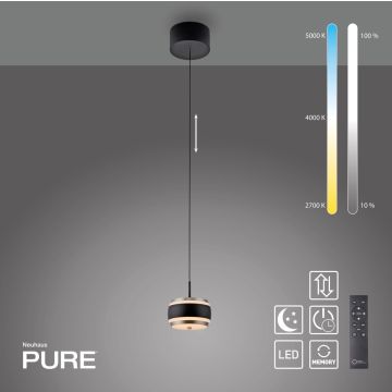 Paul Neuhaus PURE FALLING RINGS 2503-18 lampa wisząca 1x8W/LED 310lm 2200-5000k ip20