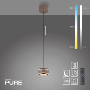Paul Neuhaus PURE FALLING RINGS 2503-97 lampa wisząca 1x8W/LED 310lm 2200-5000k ip20
