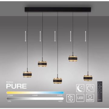 Paul Neuhaus PURE FALLING RINGS 2504-18 lampa wisząca 5x8W/LED 1500lm 2200-5000k ip20