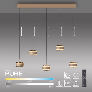Paul Neuhaus PURE FALLING RINGS 2504-97 lampa wisząca 5x8W/LED 1500lm 2200-5000k ip20