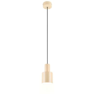 Trio AGUDO 319400144 lampa wisząca 1x10w/e27   ip20