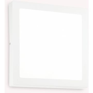 Ideal Lux UNIVERSAL 321660 plafon ścienno-sufitowy 1x36W/LED  4000K ip20