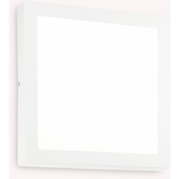 Ideal Lux UNIVERSAL 321707 plafon ścienno-sufitowy 1x22W/LED  4000K ip20