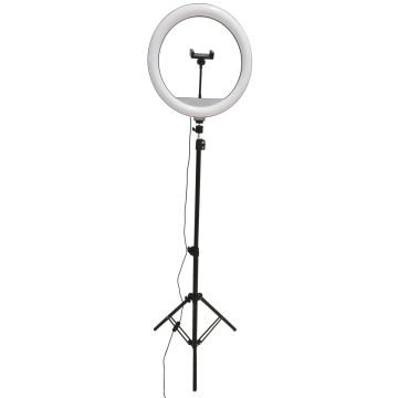 Polux SELFIE 327598 lampka biurkowa 1x15W/LED 330lm 2700K-4000K-6500K IP20