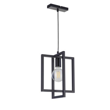 Sigma Lighting EDEN 32231 lampa wisząca 1x60W/E27  