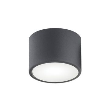 Argon VICHY 3886 Plafon sufitowy 1x10W/LED 3000K
