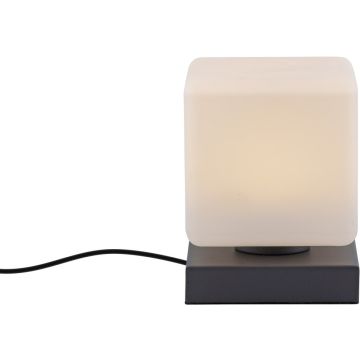 Paul Neuhaus DADOA 4036-13 lampka stołowa 1x7W/LED 580lm 3000k ip20