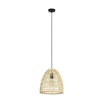 Eglo AYESGARTH 43866 lampa wisząca 1x40W/E27 IP20