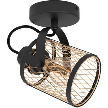Eglo DELLOW 43531 spot 1X40W/E27 IP20