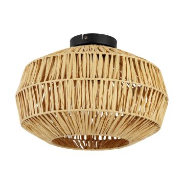 Eglo SHELDON 44142 lampa sufitowa 1x40W/E27   IP20