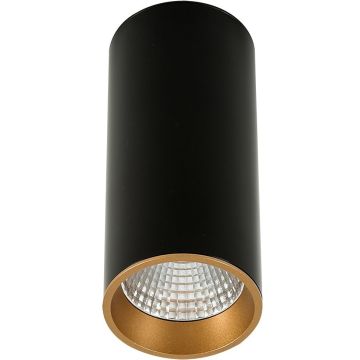 Italux Moldes Big BL/GO Ceiling 4000K SLC7392/12W 4000K BL+GO downlight natynkowy 1x12W/LED 820lm 4000K IP20