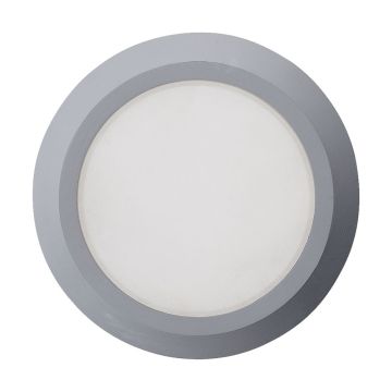 Prezent RADIX I. 48316 plafon sufitowy 1x3W/LED IP65