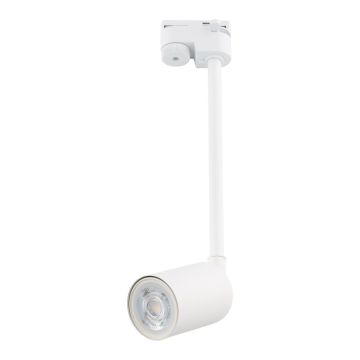 TK Lighting TRACER 4888 reflektor szynowy 1x10W/GU10 IP20