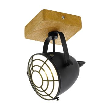 Eglo GATEBECK 49076 Reflektor sufitowy 1x60W/E14