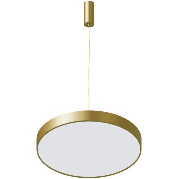 Italux Orbital 5361-830RP-GD-3 lampa wisząca 1x30W/LED IP20 3000K