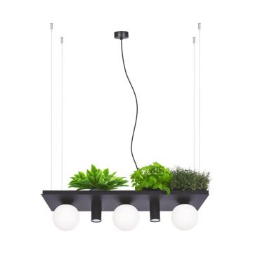 Zuma Line Orbit 5555 lampa wisząca 5x40W/3xE14|2xGU10  IP20