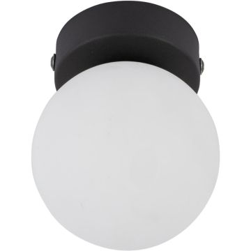TK Lighting Mini 5613 lampa sufitowa 1x6W/G9 IP20
