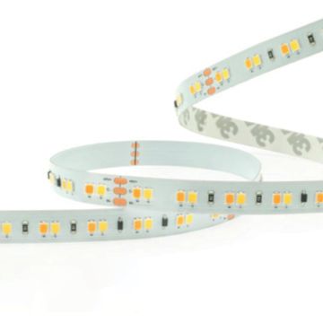Zambelis LED STRIP LS06 taśma led 24W/m   IP20