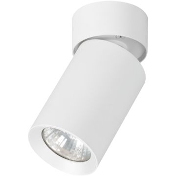 Alfa FLEX 59026 downlight natynkowy 1x10W/GU10   