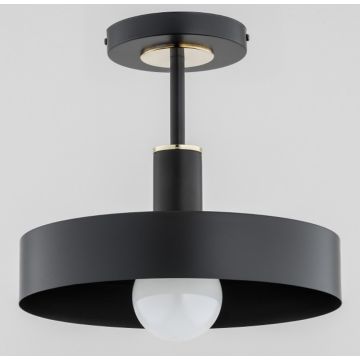 Alfa Beryt 60976 lampa sufitowa 1x60W/E27 IP20