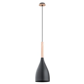 Alfa Juice 60722 lampa wisząca 1x60W/E27 IP20
