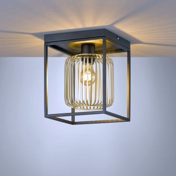 Fischer&Honsel Caydo 21294 lampa sufitowa 1x40W/E27  IP20
