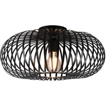 Trio JOHANN 606900132 lampa sufitowa 1x60w/e27   ip20