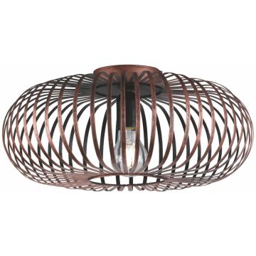 Trio JOHANN 606900162 lampa sufitowa 1x60w/e27   ip20