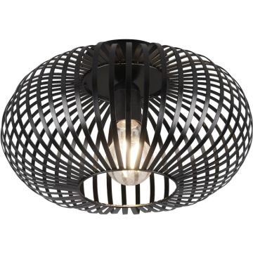 Trio JOHANN 606903032 lampa sufitowa 1x60w/e27   ip20