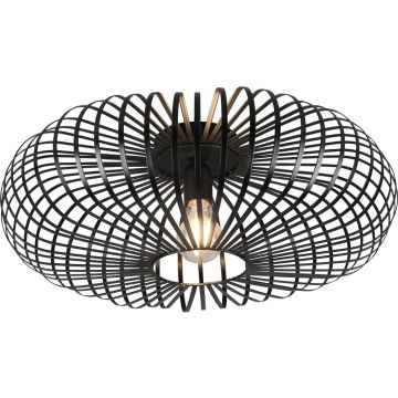 Trio JOHANN 606905032 lampa sufitowa 1x60w/e27   ip20