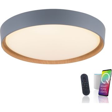 Paul Neuhaus Q-EMILIA 6118-15 lampa sufitowa 1x40W/LED 3720lm 2700-5000k ip20