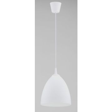Alfa LERA 61326 lampa wisząca 1x15W/E27 IP20