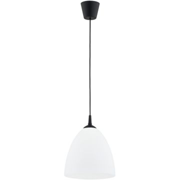Alfa LERA 61466 lampa wisząca 1x15W/E27   