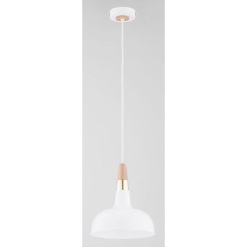 RODOS 61388 lampa wisząca 1x15W/E27 IP20