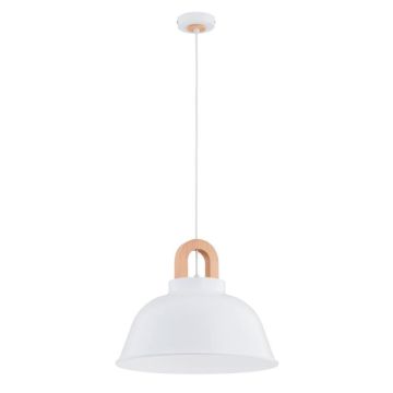 Alfa VAYPER 61343 lampa wisząca 1x15W/E27 IP20