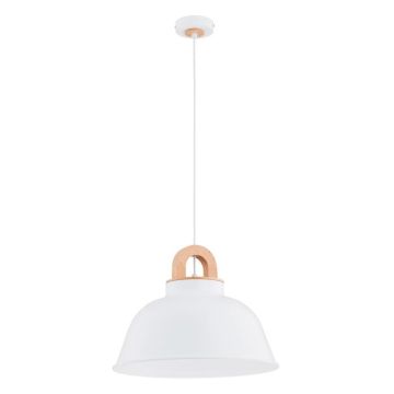 Alfa VAYPER 61346 lampa wisząca 1x15W/E27 IP20